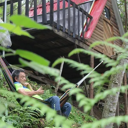 Glamping Lomaroja Ecohabs Hotel Palmira  Exterior photo