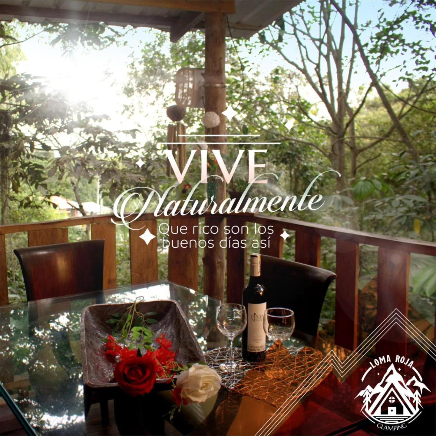 Glamping Lomaroja Ecohabs Camping Palmira (Valle del Cauca)